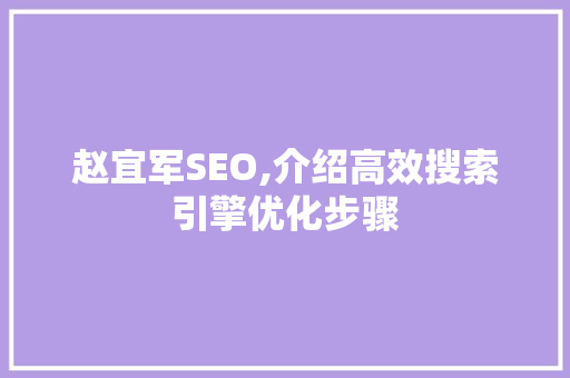 赵宜军SEO,介绍高效搜索引擎优化步骤