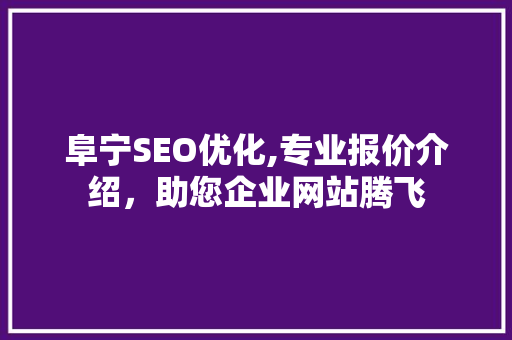 阜宁SEO优化,专业报价介绍，助您企业网站腾飞