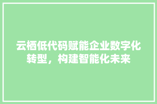 云栖低代码赋能企业数字化转型，构建智能化未来