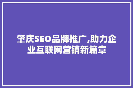 肇庆SEO品牌推广,助力企业互联网营销新篇章