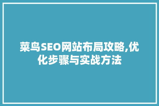 菜鸟SEO网站布局攻略,优化步骤与实战方法