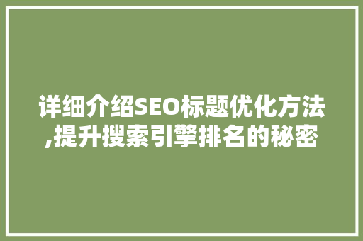 详细介绍SEO标题优化方法,提升搜索引擎排名的秘密武器