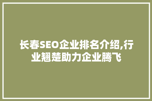 长春SEO企业排名介绍,行业翘楚助力企业腾飞