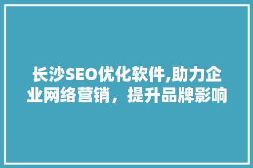长沙SEO优化软件,助力企业网络营销，提升品牌影响力