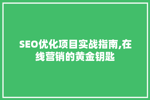 SEO优化项目实战指南,在线营销的黄金钥匙