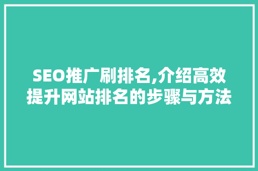 SEO推广刷排名,介绍高效提升网站排名的步骤与方法