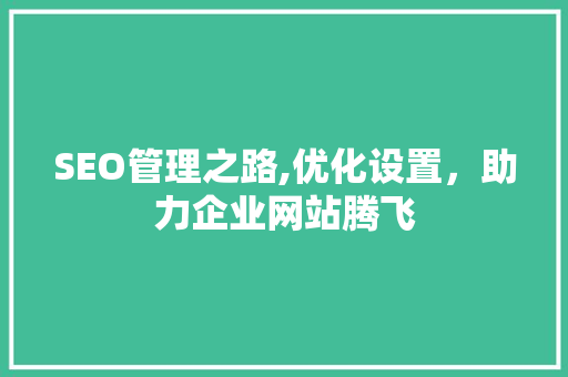SEO管理之路,优化设置，助力企业网站腾飞