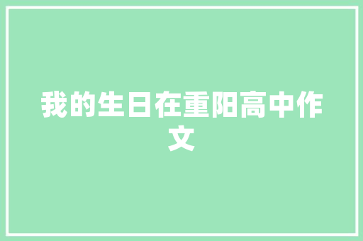 SEO综合查询,介绍搜索引擎优化之路