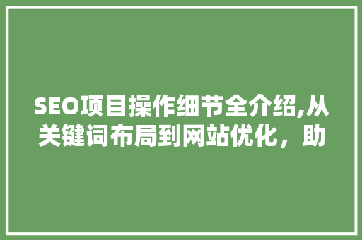 SEO项目操作细节全介绍,从关键词布局到网站优化，助力网站排名提升