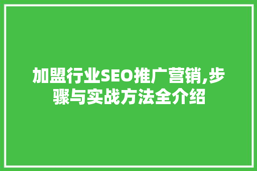 加盟行业SEO推广营销,步骤与实战方法全介绍