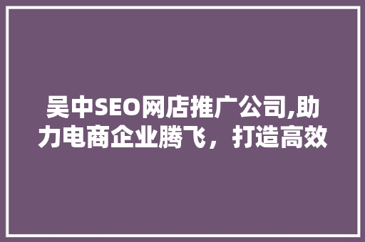 吴中SEO网店推广公司,助力电商企业腾飞，打造高效营销步骤