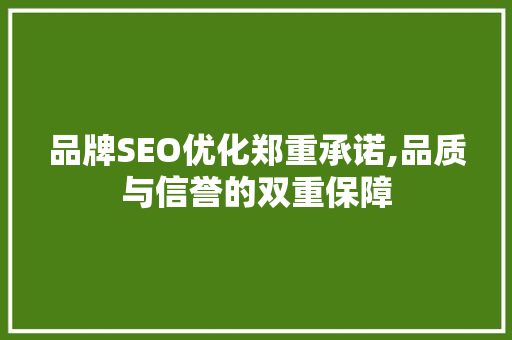 品牌SEO优化郑重承诺,品质与信誉的双重保障