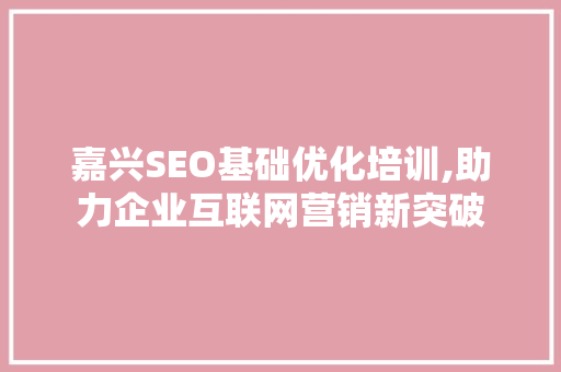 嘉兴SEO基础优化培训,助力企业互联网营销新突破