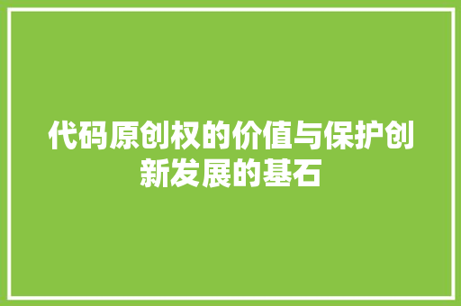 代码原创权的价值与保护创新发展的基石