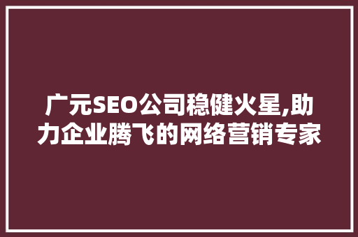 广元SEO公司稳健火星,助力企业腾飞的网络营销专家
