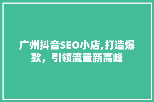 广州抖音SEO小店,打造爆款，引领流量新高峰