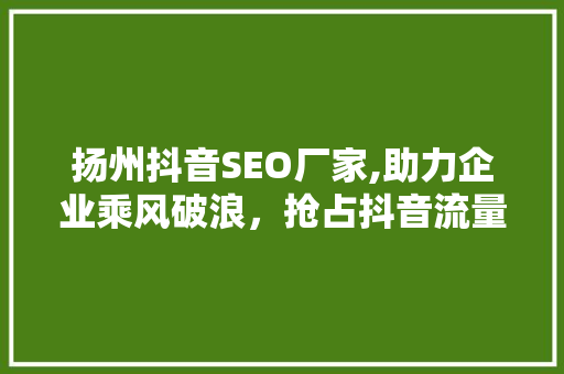 扬州抖音SEO厂家,助力企业乘风破浪，抢占抖音流量高地