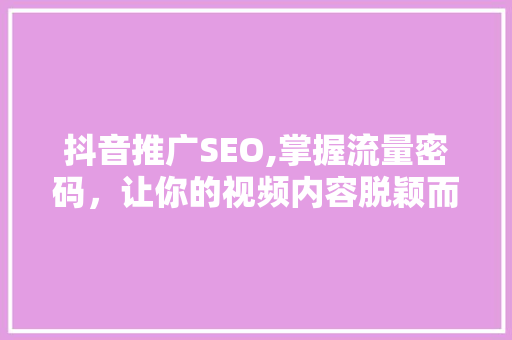 抖音推广SEO,掌握流量密码，让你的视频内容脱颖而出