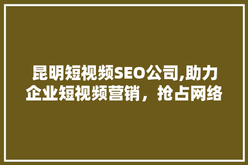 昆明短视频SEO公司,助力企业短视频营销，抢占网络流量高地