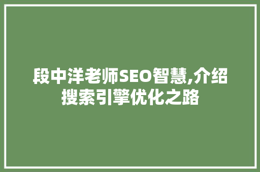 段中洋老师SEO智慧,介绍搜索引擎优化之路