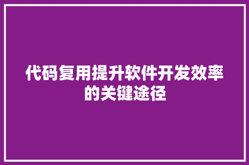 代码复用提升软件开发效率的关键途径