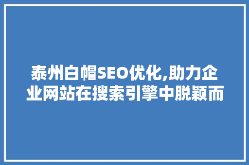泰州白帽SEO优化,助力企业网站在搜索引擎中脱颖而出