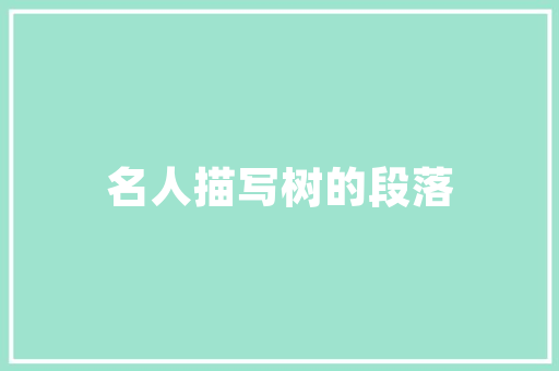 海南SEO公司排名介绍,如何选择优质SEO服务助力企业腾飞