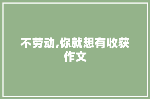 海南长沙SEO优化公司,助力企业腾飞的网络营销步骤