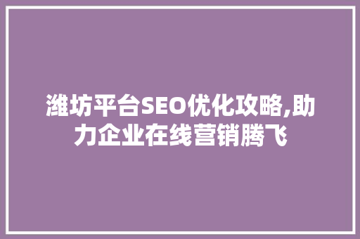潍坊平台SEO优化攻略,助力企业在线营销腾飞