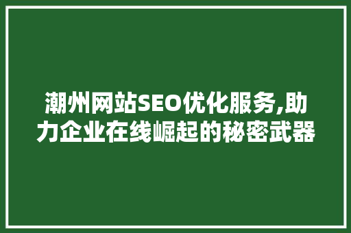 潮州网站SEO优化服务,助力企业在线崛起的秘密武器