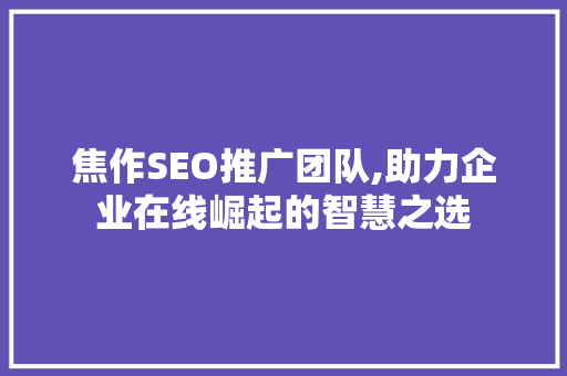 焦作SEO推广团队,助力企业在线崛起的智慧之选