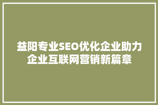 益阳专业SEO优化企业助力企业互联网营销新篇章