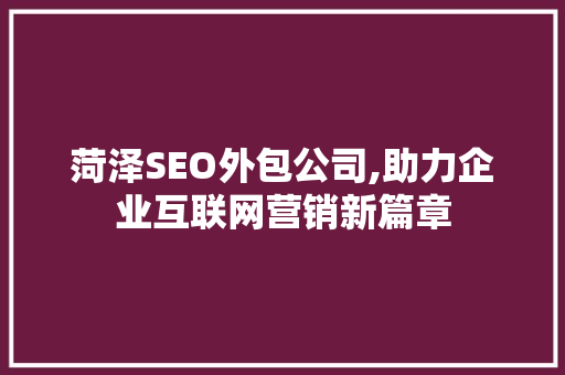 菏泽SEO外包公司,助力企业互联网营销新篇章