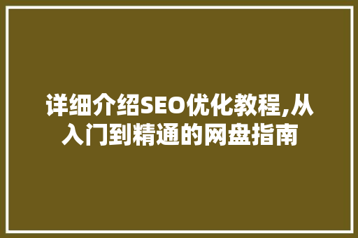 详细介绍SEO优化教程,从入门到精通的网盘指南