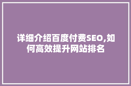 详细介绍百度付费SEO,如何高效提升网站排名