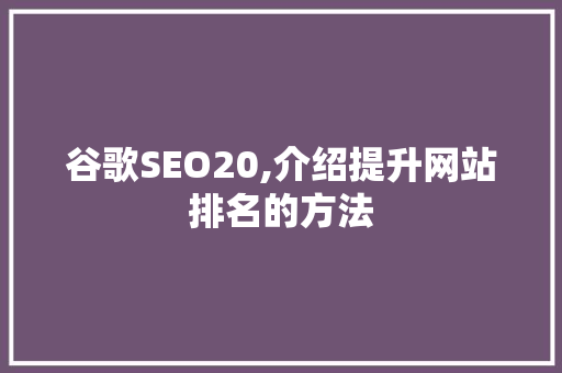 谷歌SEO20,介绍提升网站排名的方法