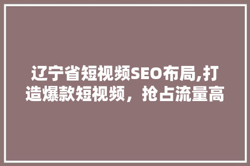 辽宁省短视频SEO布局,打造爆款短视频，抢占流量高地