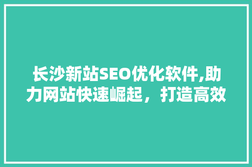 长沙新站SEO优化软件,助力网站快速崛起，打造高效网络营销新步骤
