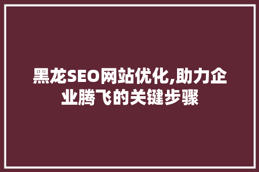 黑龙SEO网站优化,助力企业腾飞的关键步骤