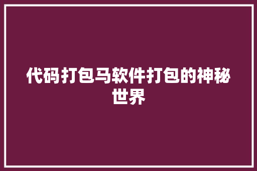 代码打包马软件打包的神秘世界