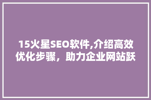 15火星SEO软件,介绍高效优化步骤，助力企业网站跃居搜索引擎前列