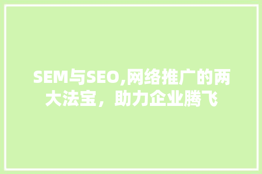 SEM与SEO,网络推广的两大法宝，助力企业腾飞