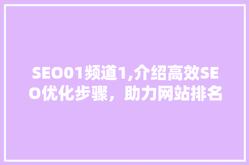 SEO01频道1,介绍高效SEO优化步骤，助力网站排名攀升