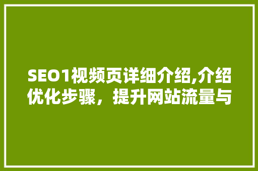 SEO1视频页详细介绍,介绍优化步骤，提升网站流量与用户体验