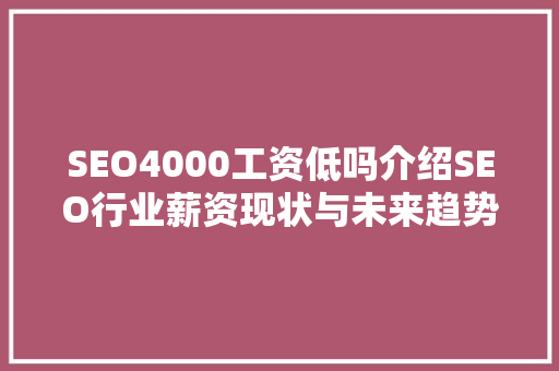 SEO4000工资低吗介绍SEO行业薪资现状与未来趋势