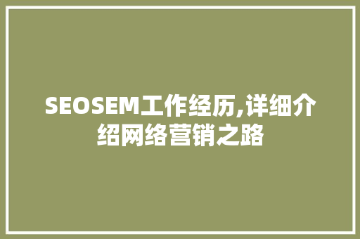 SEOSEM工作经历,详细介绍网络营销之路