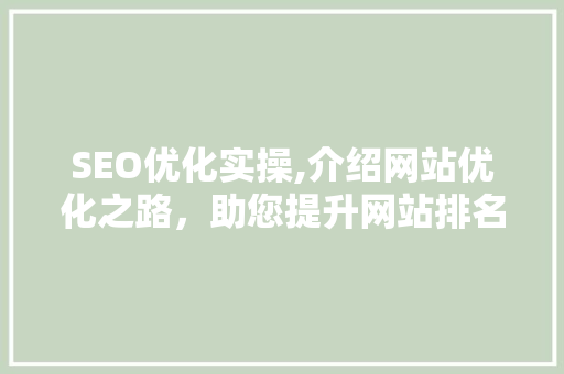 SEO优化实操,介绍网站优化之路，助您提升网站排名与流量  第1张