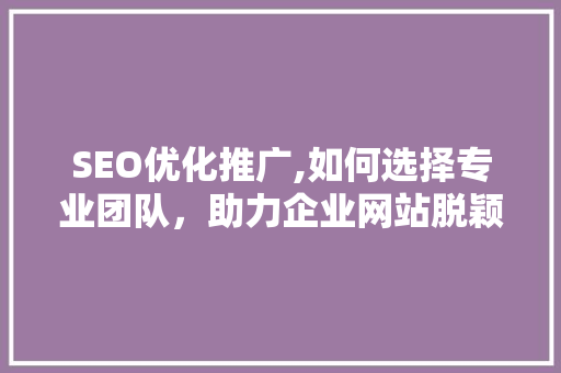 SEO优化推广,如何选择专业团队，助力企业网站脱颖而出