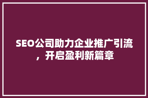 SEO公司助力企业推广引流，开启盈利新篇章