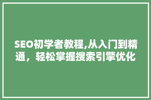 SEO初学者教程,从入门到精通，轻松掌握搜索引擎优化方法  第1张